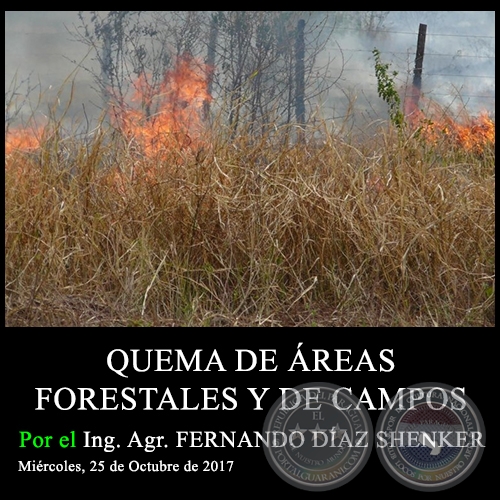 QUEMA DE ÁREAS FORESTALES Y DE CAMPOS - Ing. Agr. FERNANDO DÍAZ SHENKER - Miércoles, 25 de Octubre de 2017
